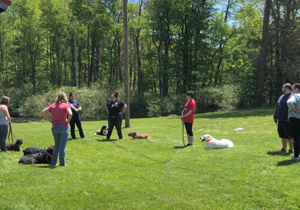 Valor dog training with a group of owners